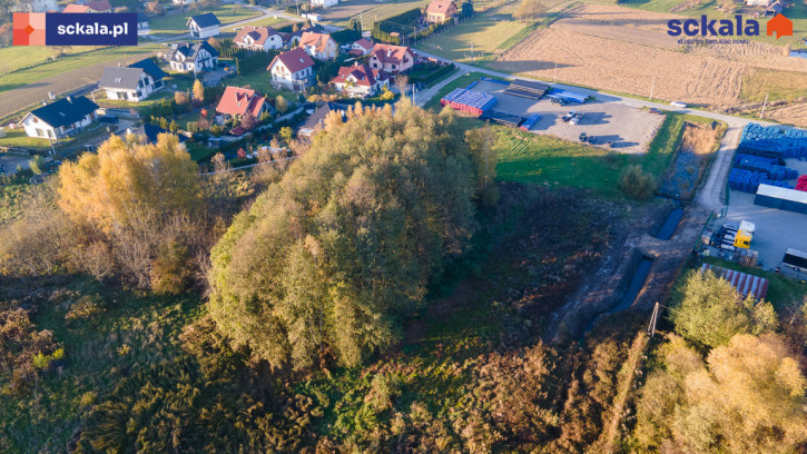 Działka Sprzedaż Targowisko 3